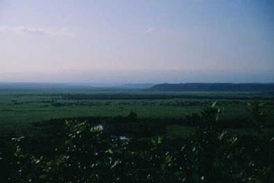 細岡の湿原展望台から見た風景